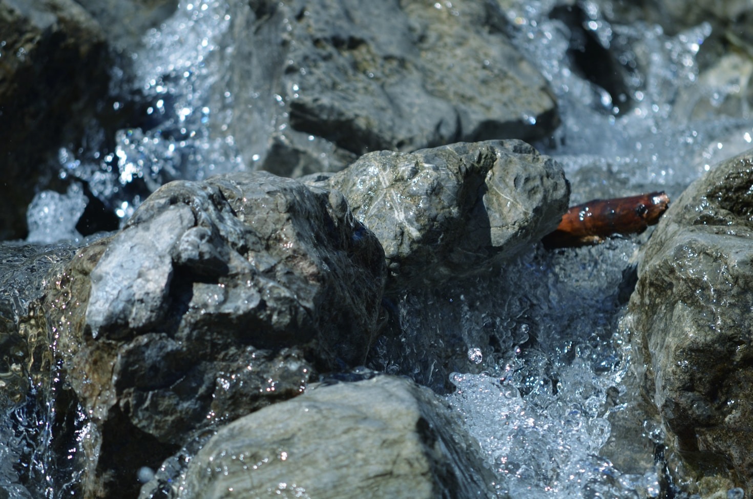 The Impact of Environmental Sensing on Modern Research